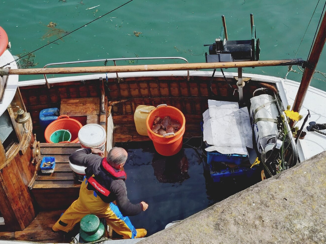 Portpatrick Harbour-Portpatrick必去景点