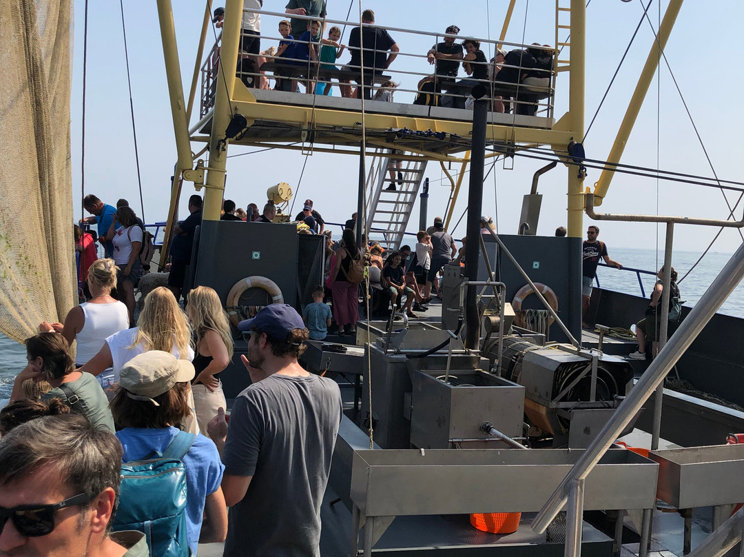 Het Wad op -TX10 & TX20-Oudeschild必去景点