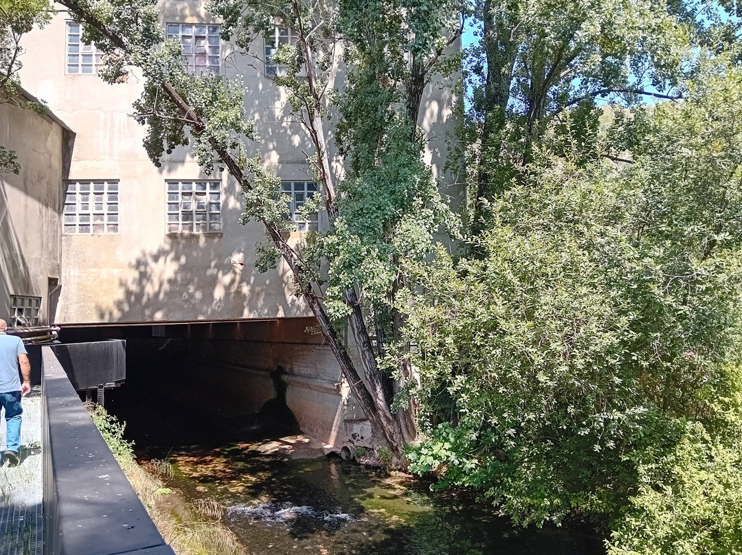 Nascente do Almonda-新托里什必去景点