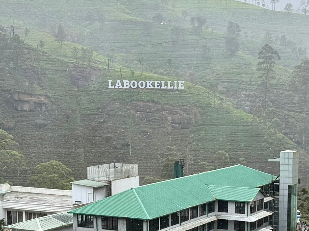 Chathu Lanka Tours-康提必去景点