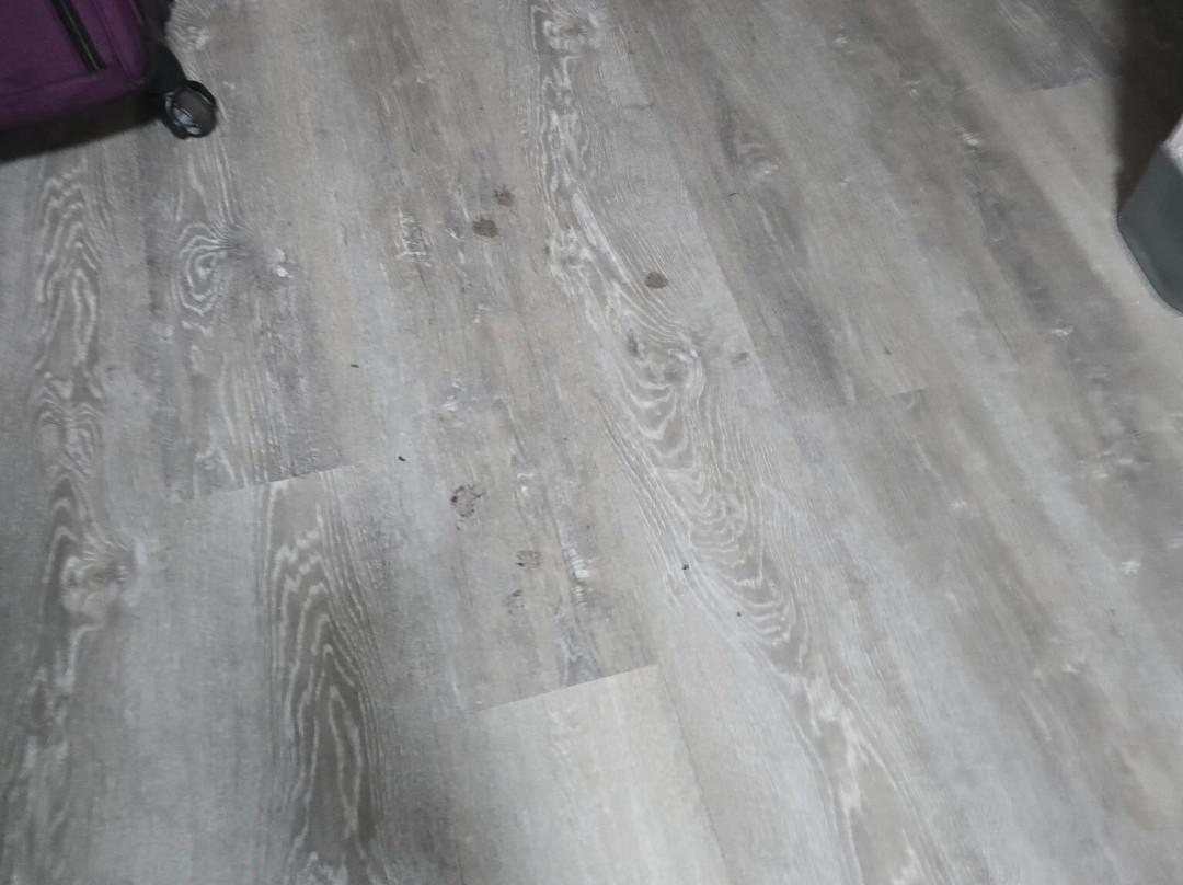 Comfort Suites Milledgeville主图