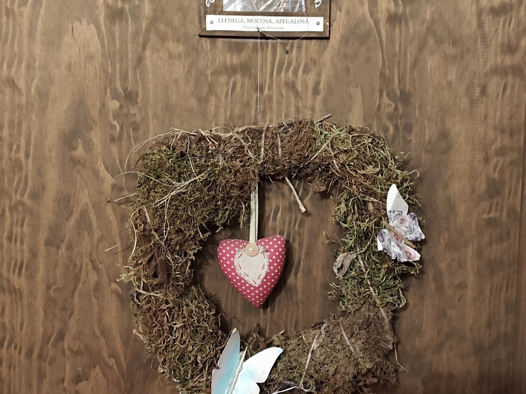 Lo Paller de Roc主图