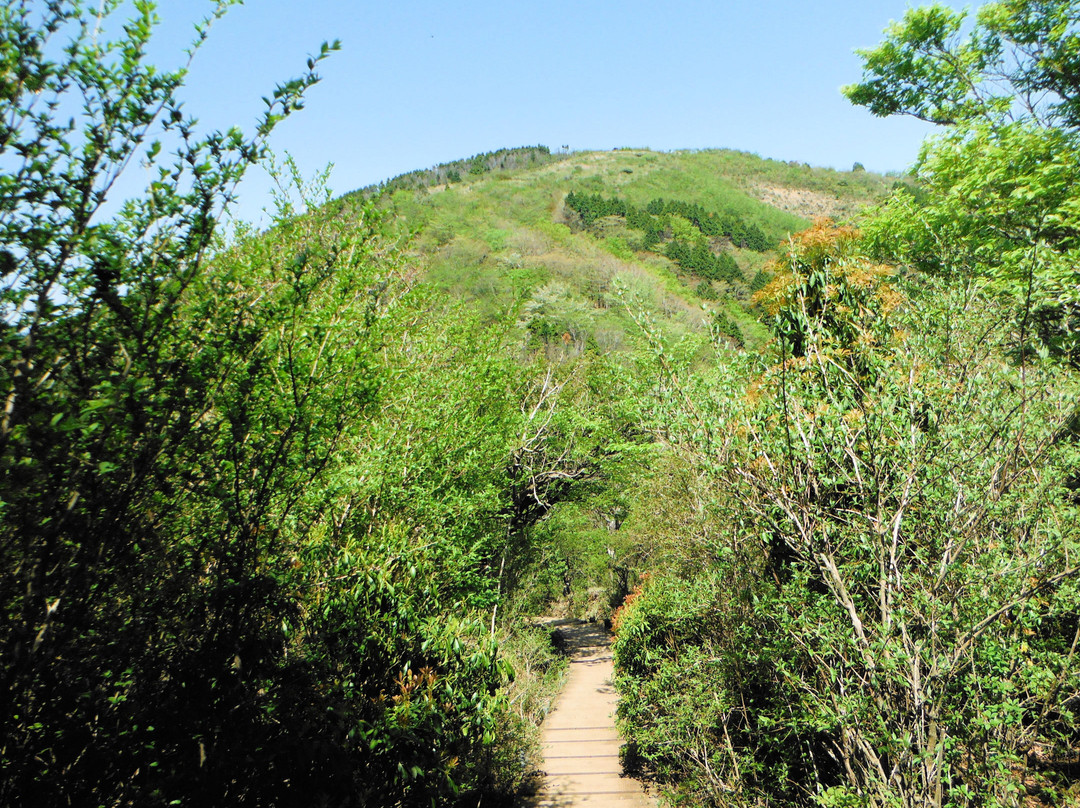 Mt. San no To-秦野市必去景点