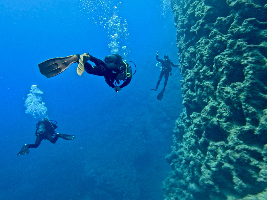 Diving Center Turtle Beach-扎金索斯必去景点