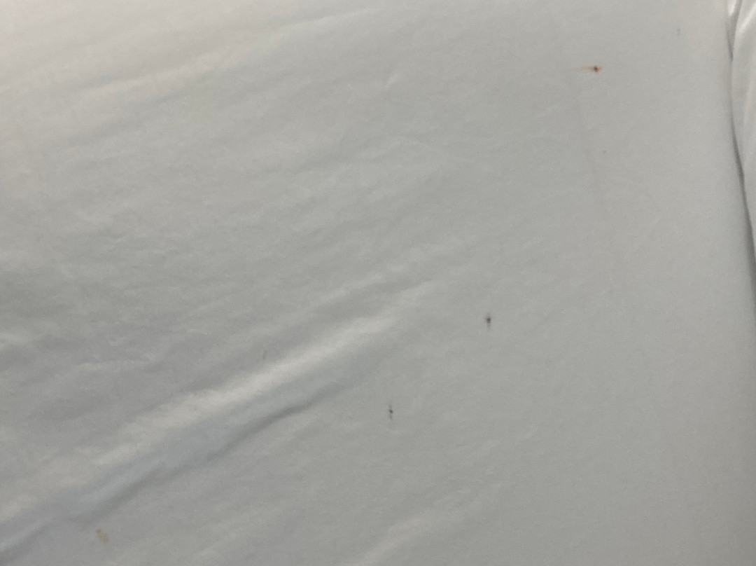 Wingate by Wyndham Athens near Downtown主图