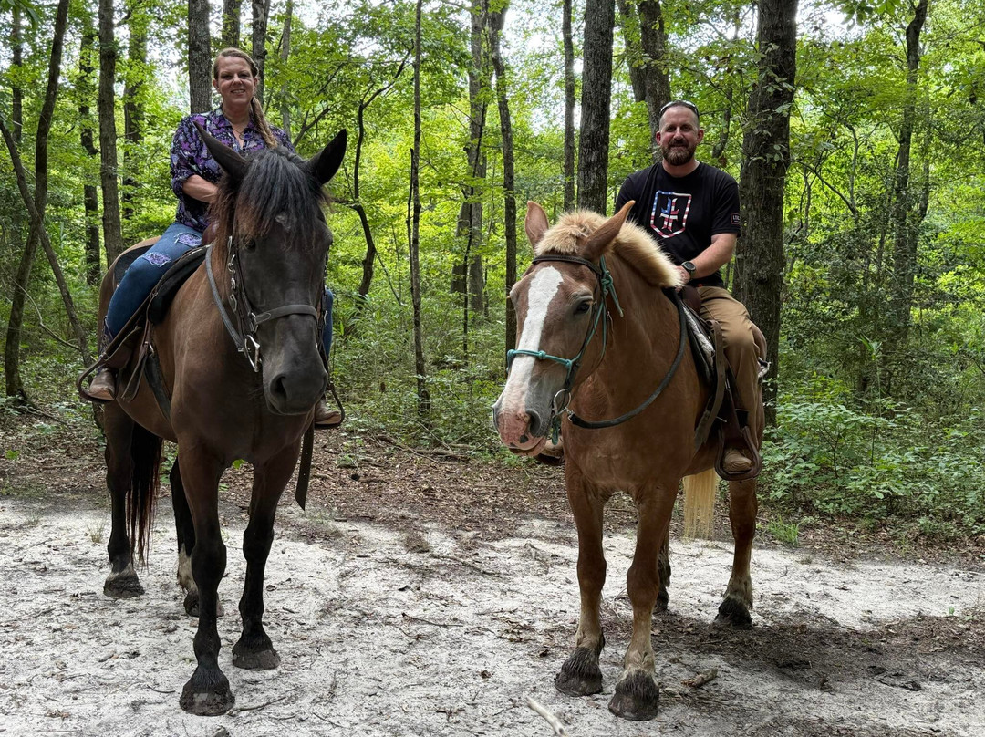 Kay’s Acres-Suffolk必去景点