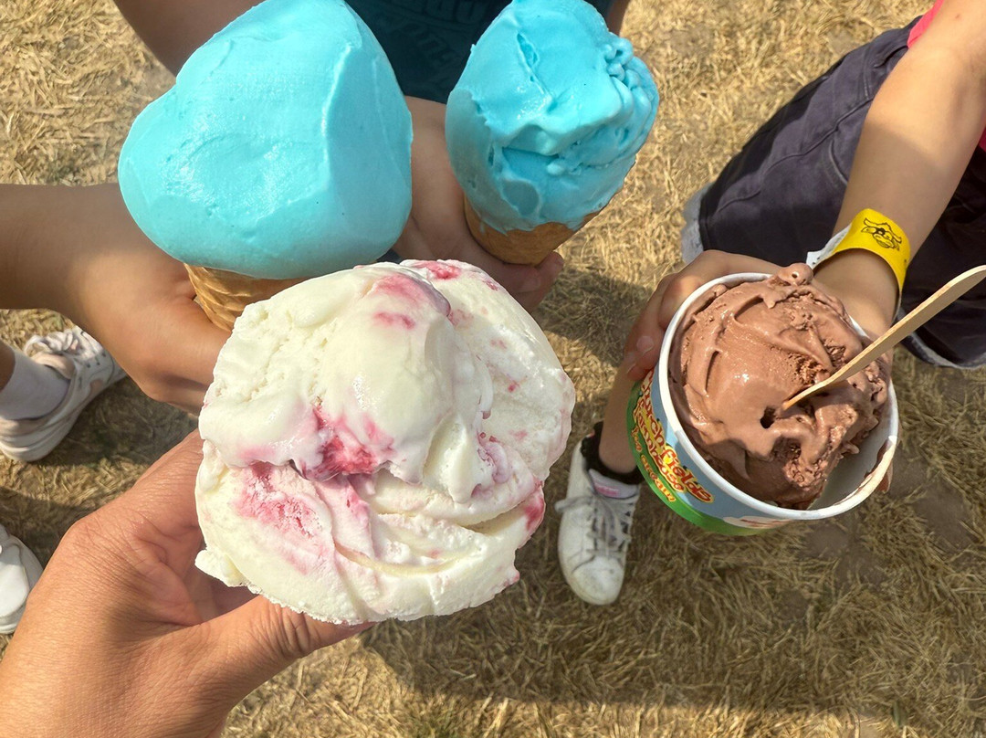 Churchfields Farmhouse Ice Cream-德罗伊特威奇必去景点