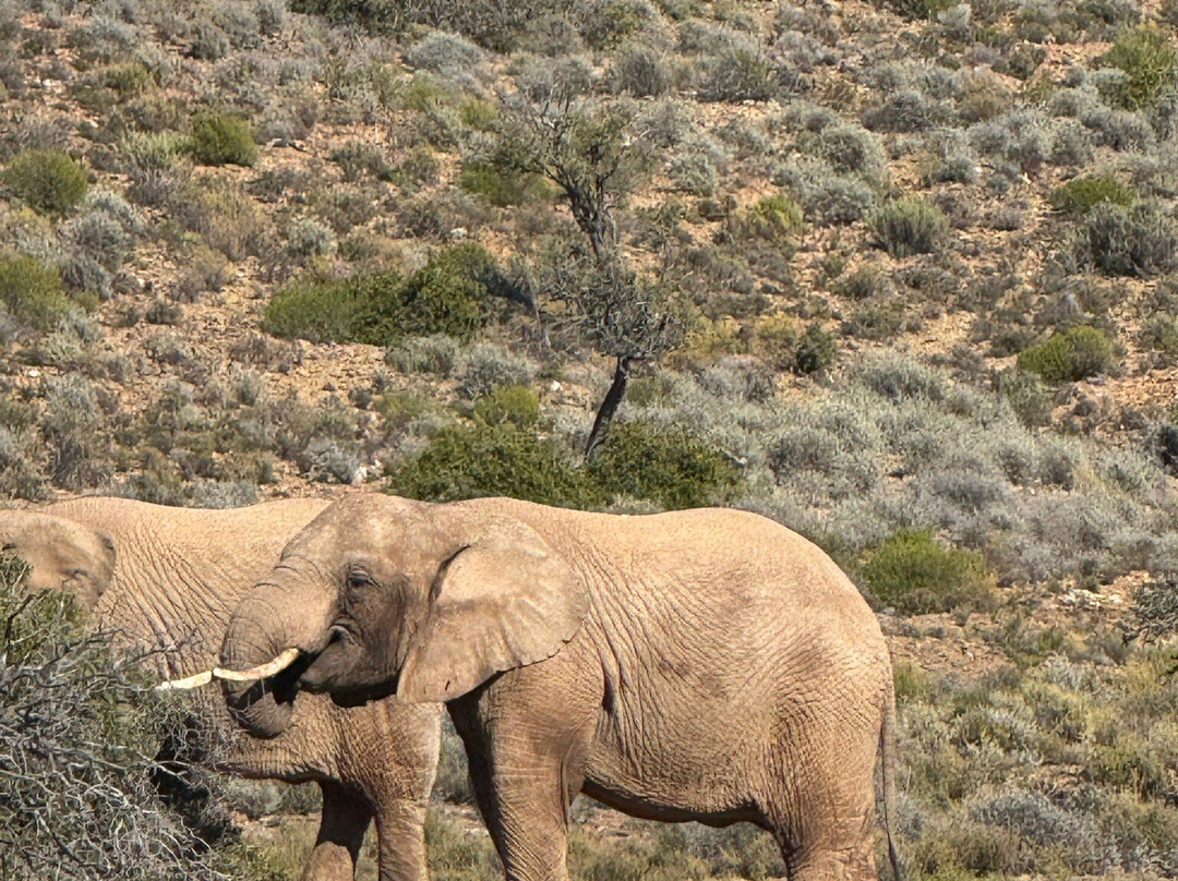 Mont Eco Game Reserve主图