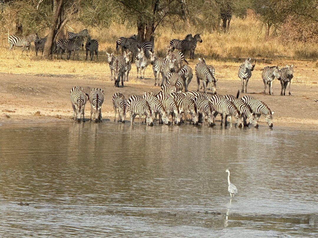 African Traits-阿鲁沙必去景点