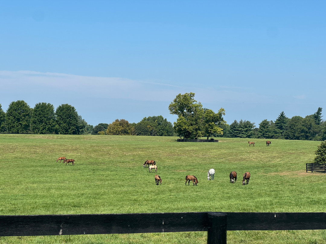 Godolphin-列克星敦必去景点
