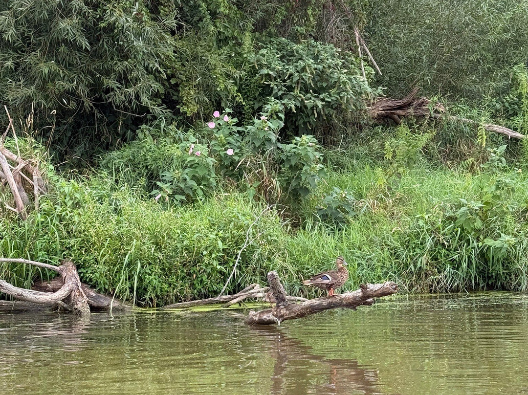 Third Coast Paddling - Galien River-New Buffalo必去景点