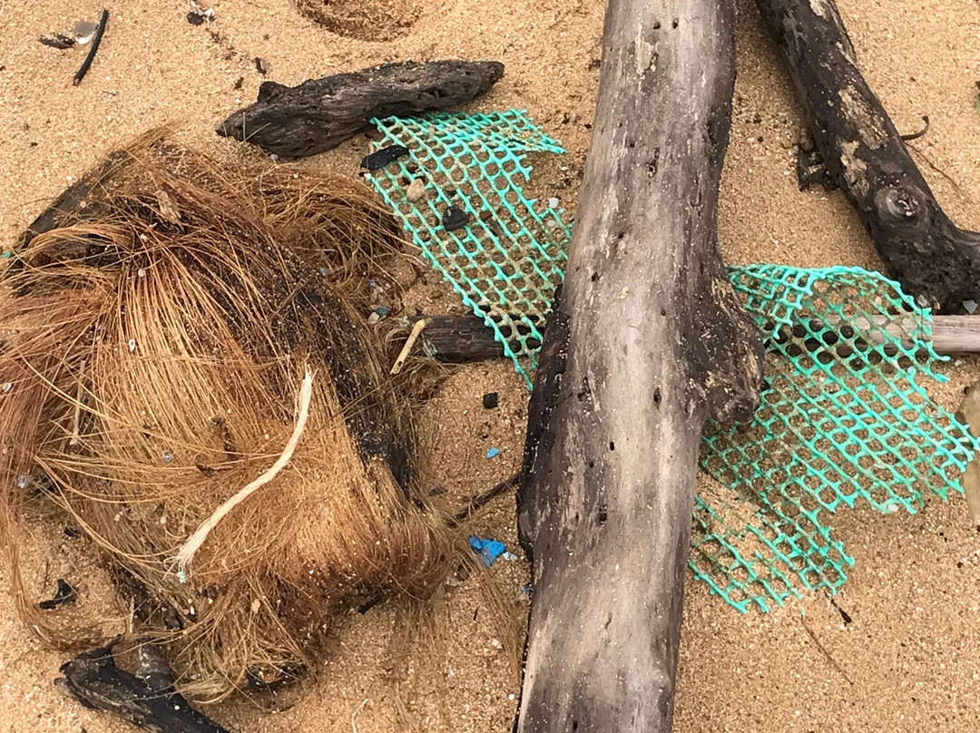 Moloa'a Beach-基拉韦厄必去景点