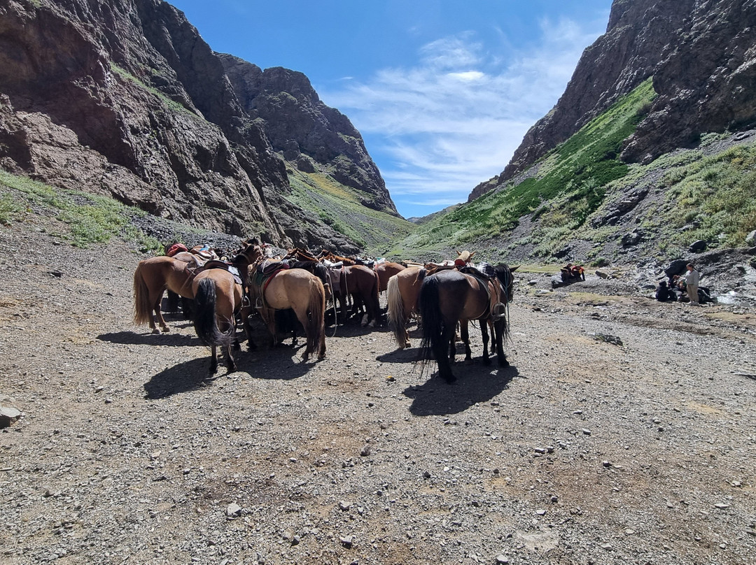 Gaya's Guest House主图