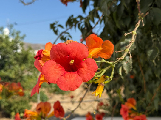 Evnomia Massage & Acupuncture-Mili必去景点