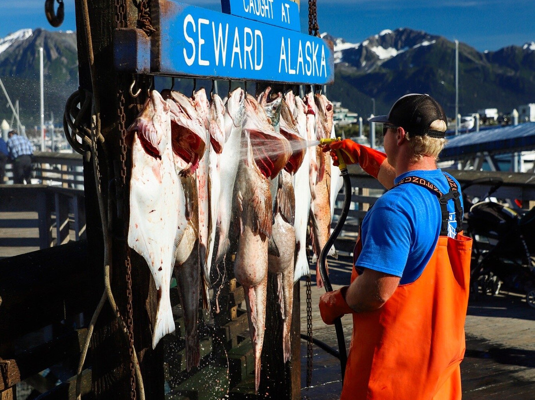 ProFish-n-Sea Charters-苏厄德必去景点