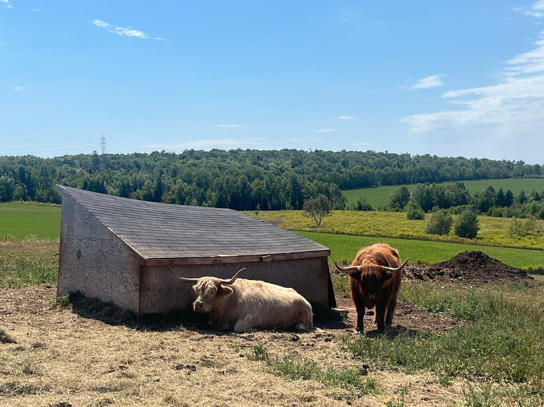 Island Hill Farm Inc-Hampshire必去景点