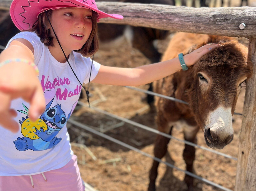 Fattoria Valle Magica-Carapelle Calvisio必去景点