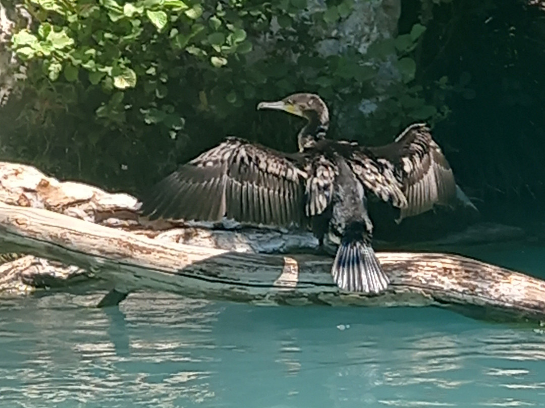 Acheron Springs-Glyki必去景点