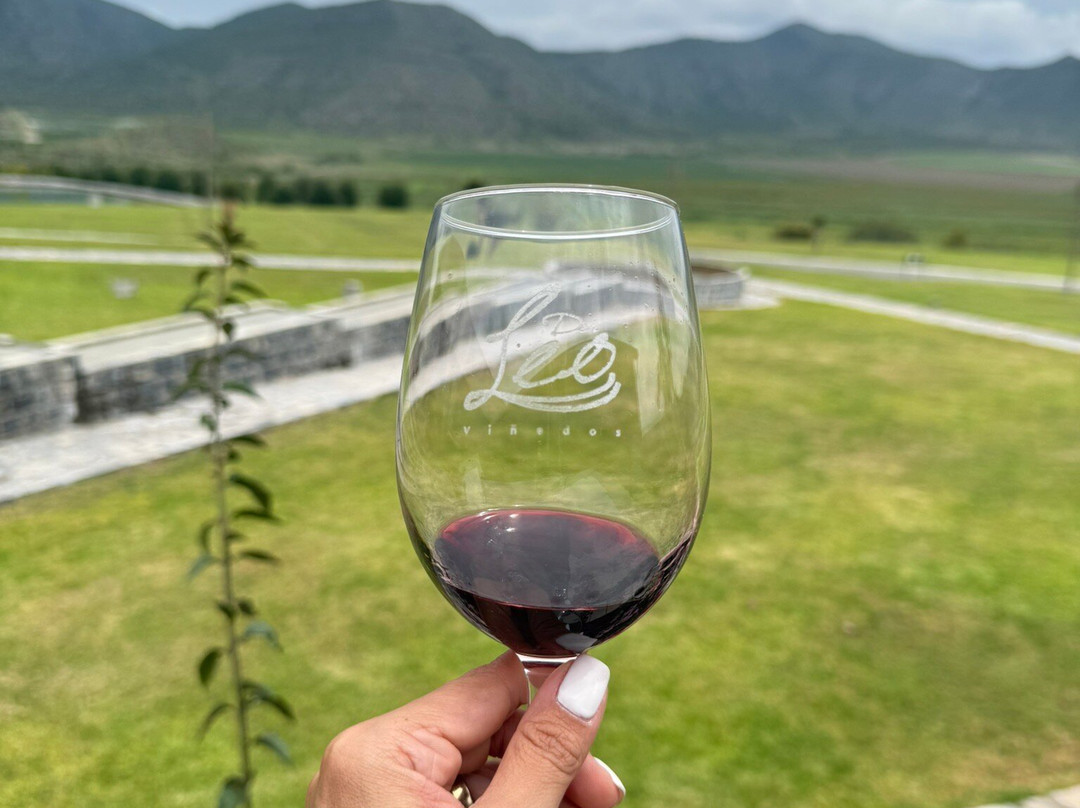 Vinedos Don Leo-Parras de la Fuente必去景点