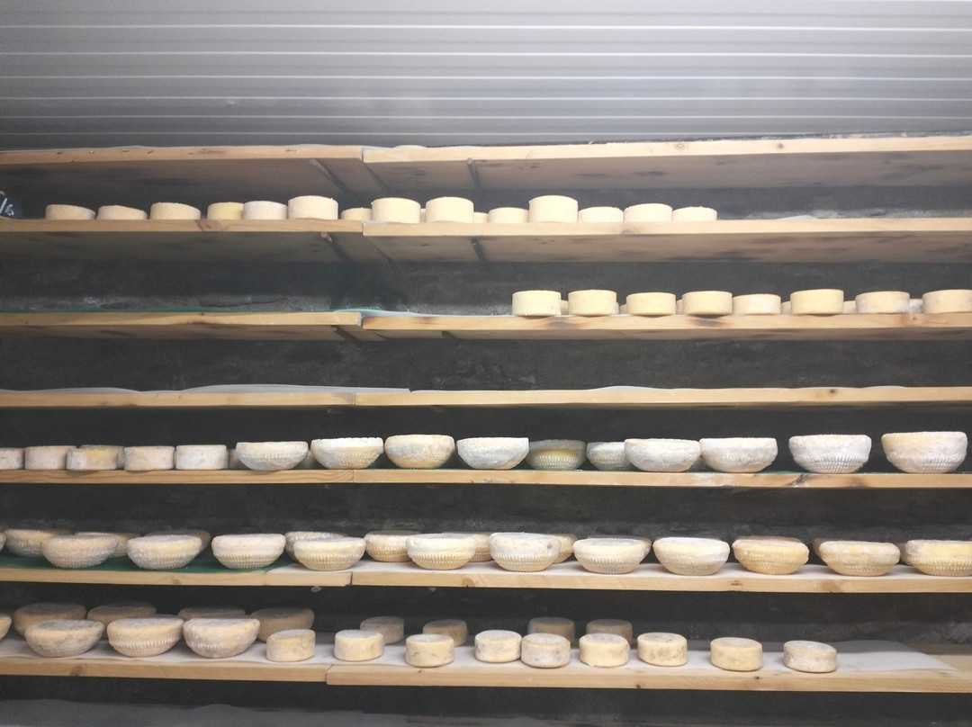 Formatgeria Casa Raubert