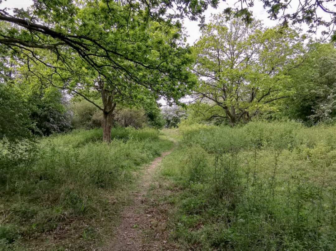 Stow Maries Halt Nature Reserve-Stow Maries必去景点