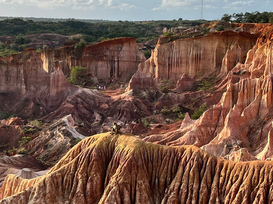 Moha Safari Kenya-瓦塔木必去景点