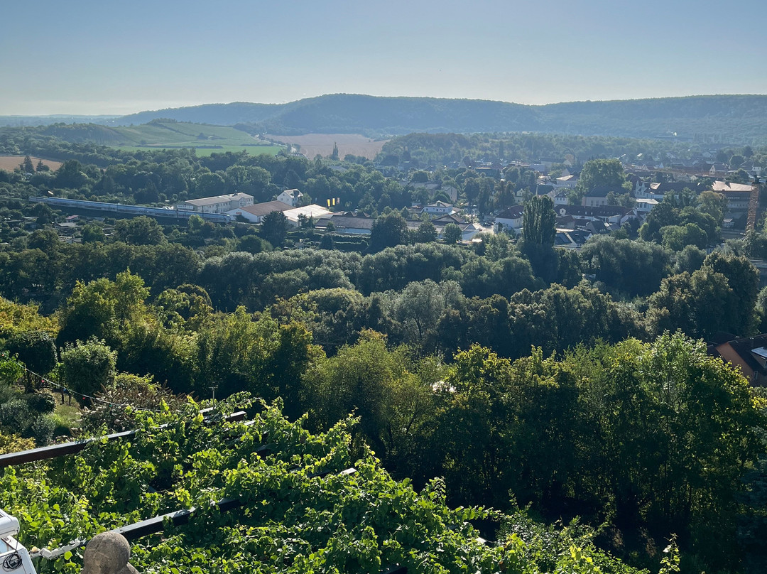 尹斯科别墅弗莱尔酒店主图