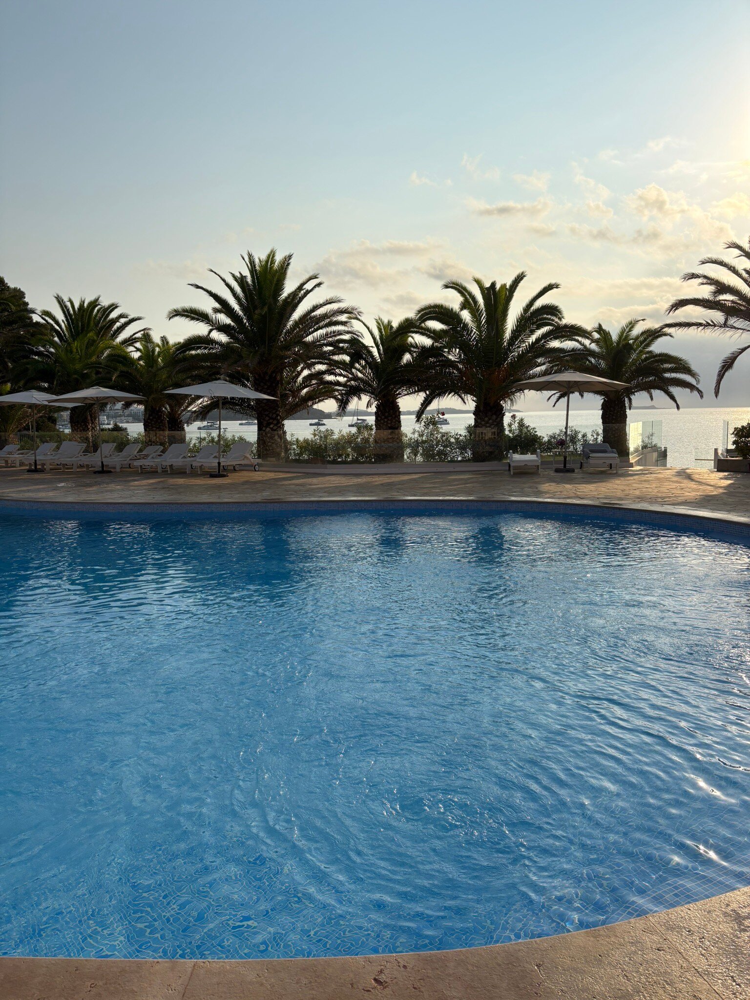 Grand Hotel Palladium-官方