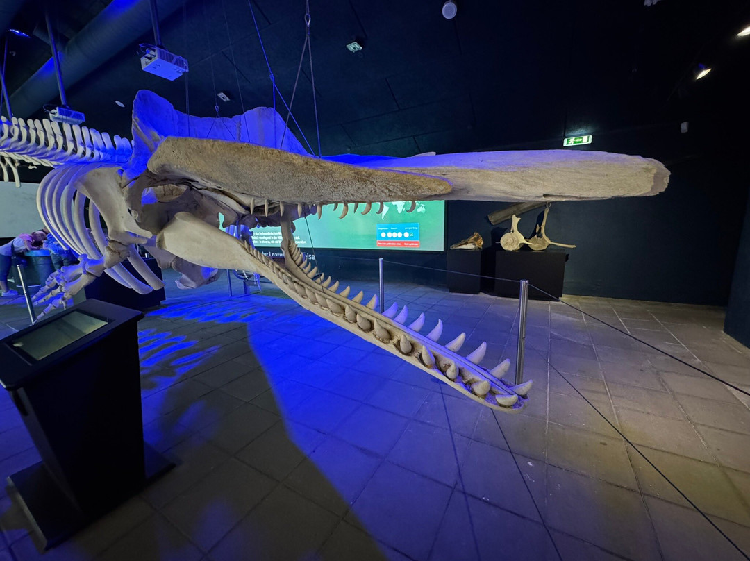 Fjord & Baelt-凯特明讷必去景点