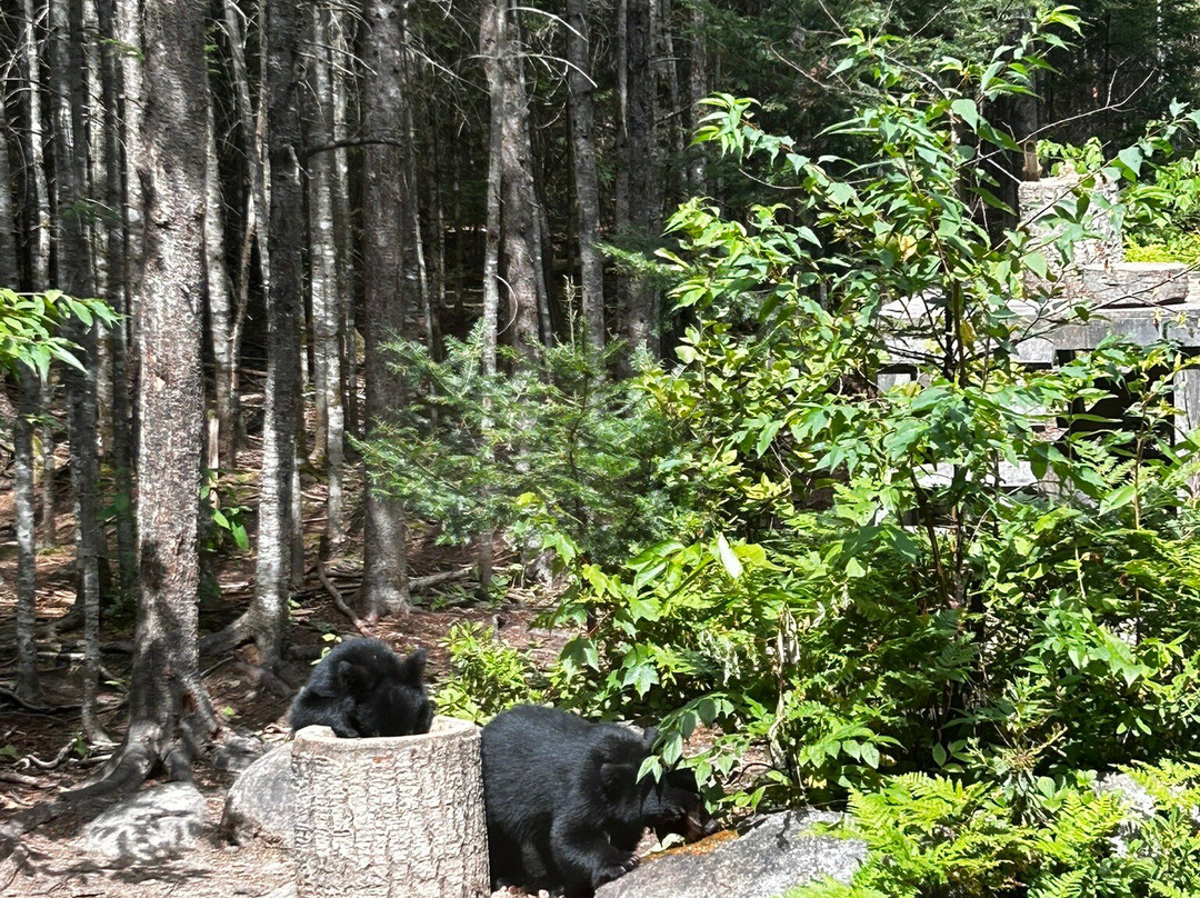 Domaine Le Pic Bois-拉马尔拜必去景点