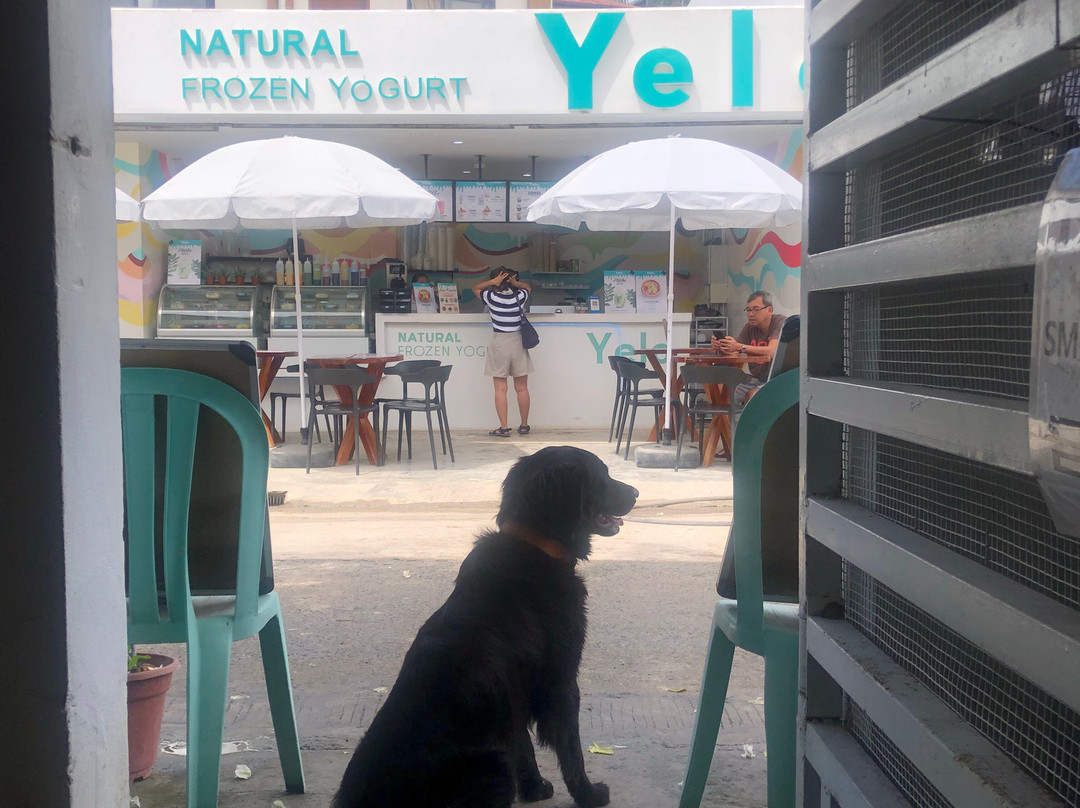 Lion Dive Centre-莫阿尔博阿尔必去景点