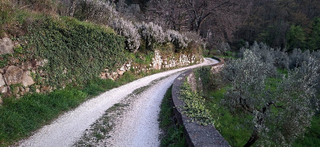 Villa Il Colle主图