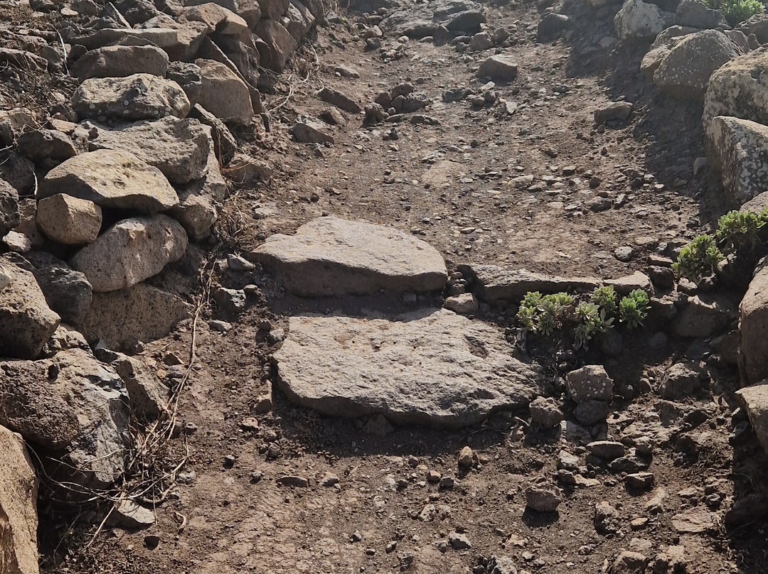 Pico de las Zarzas-Morro del Jable必去景点