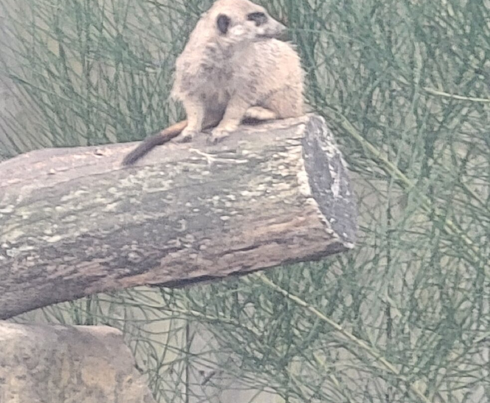 Zoo De Labenne-Labenne必去景点