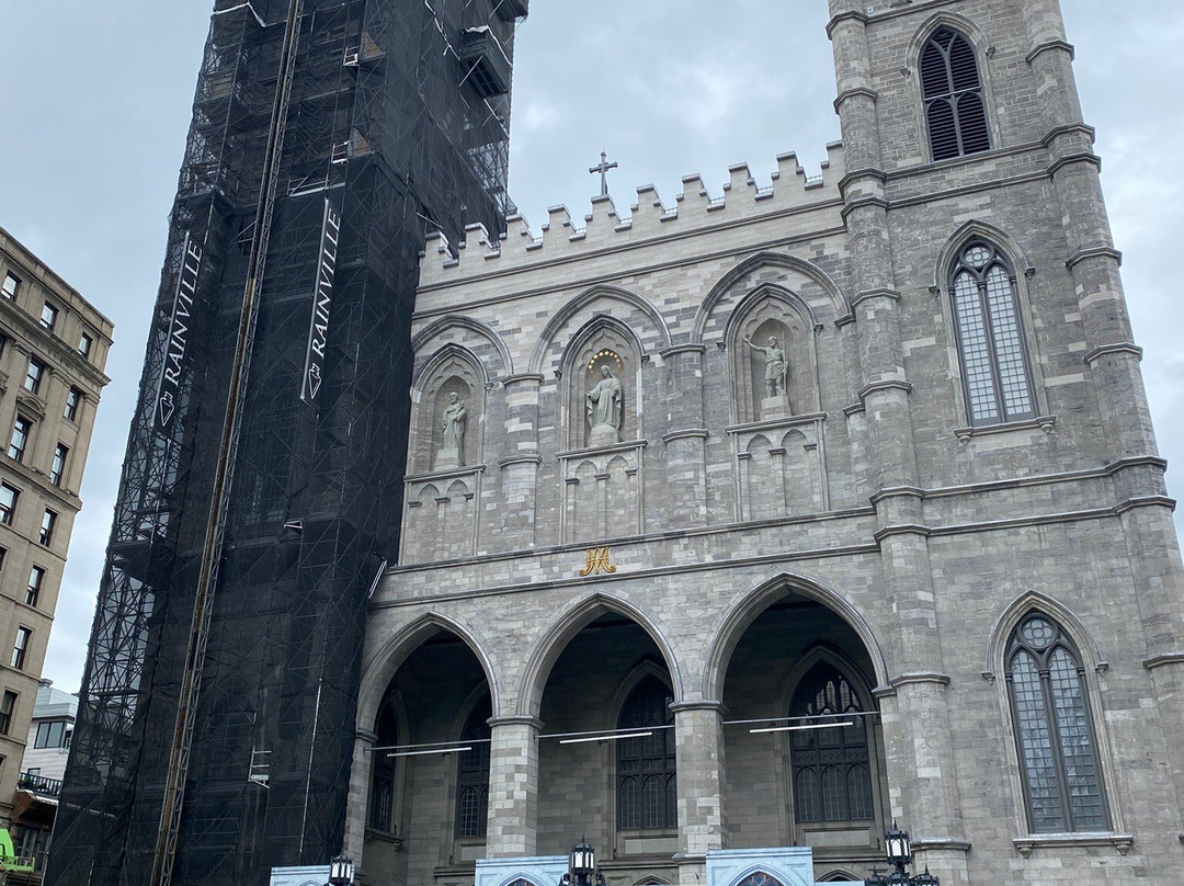 Toonie Tours Toronto-多伦多必去景点