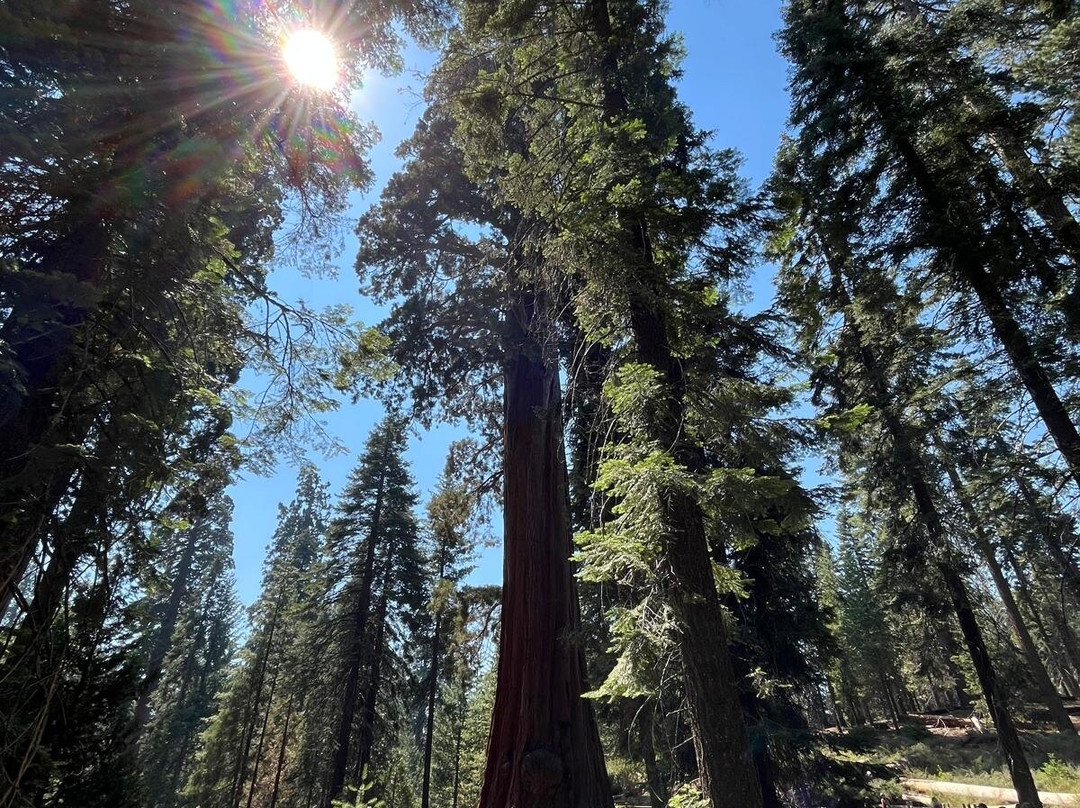 Giant Sequoia National Monument-维塞利亚必去景点