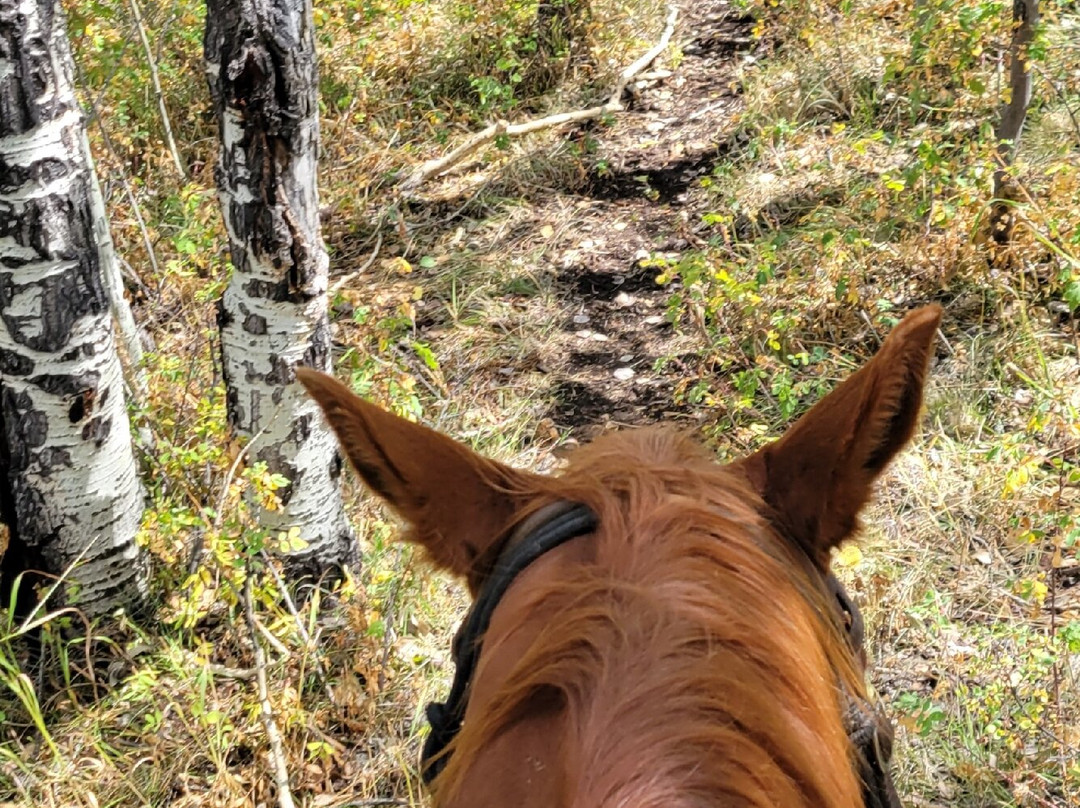 Rusty Spurr Ranch-Kremmling必去景点