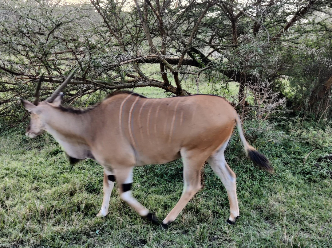Safari Monks-Bandhavgarh National Park必去景点