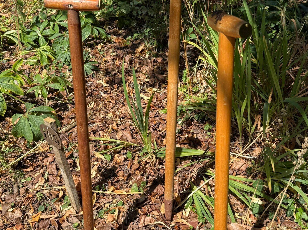 Wye Valley Sculpture Gardens-Tintern必去景点