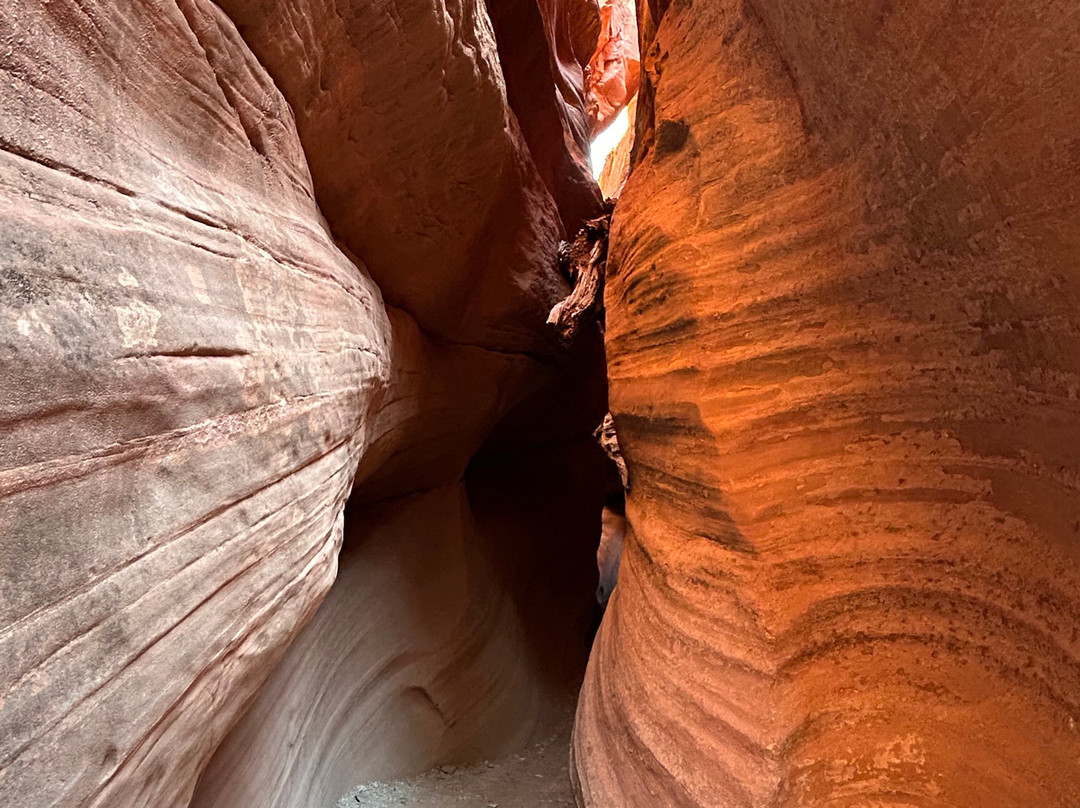 HANKSVILLE TOURS AND MOTORSPORTS RENTALS-Hanksville必去景点