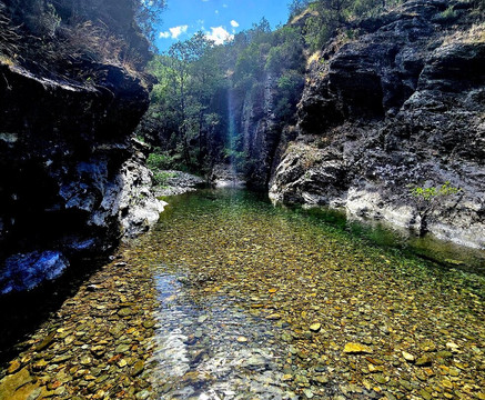 Wonders Of Provence Private Tours-圣雷米必去景点