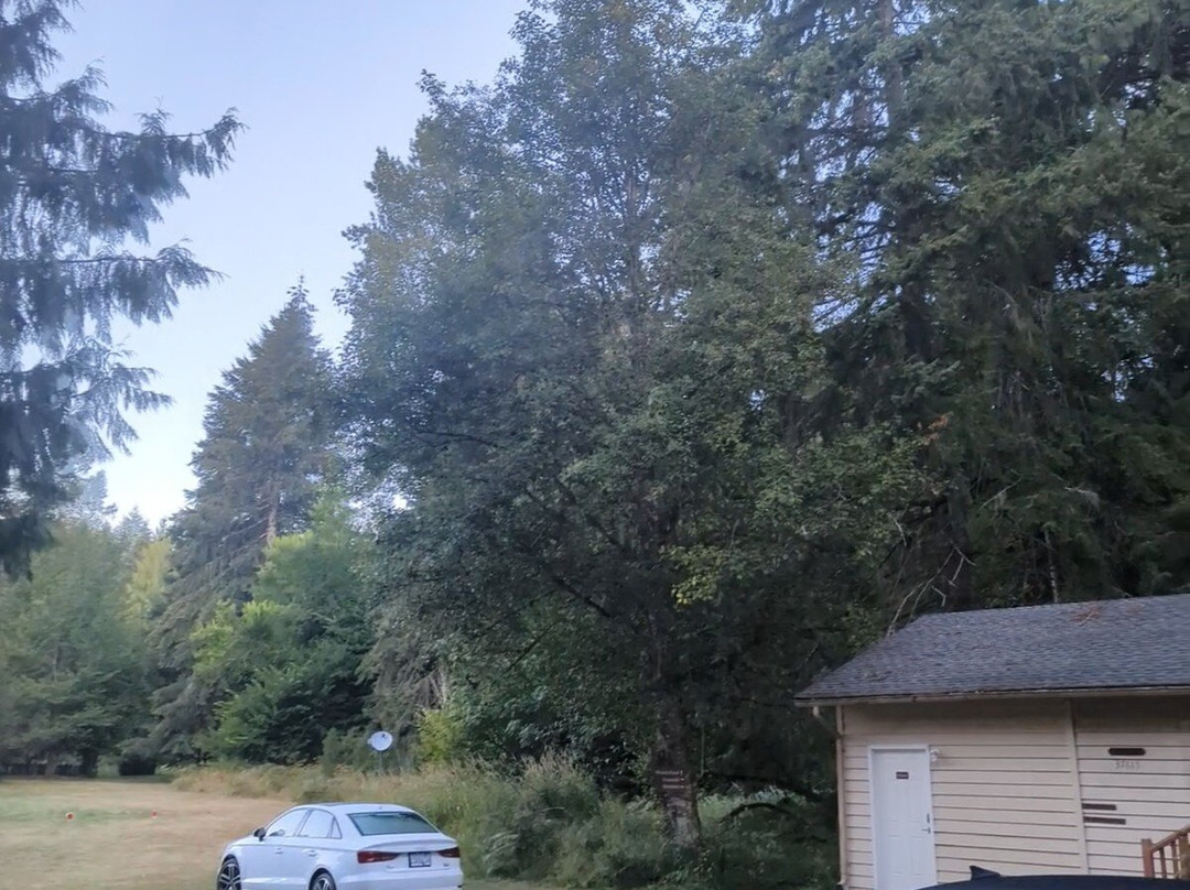 亚力山大的小屋和餐厅主图