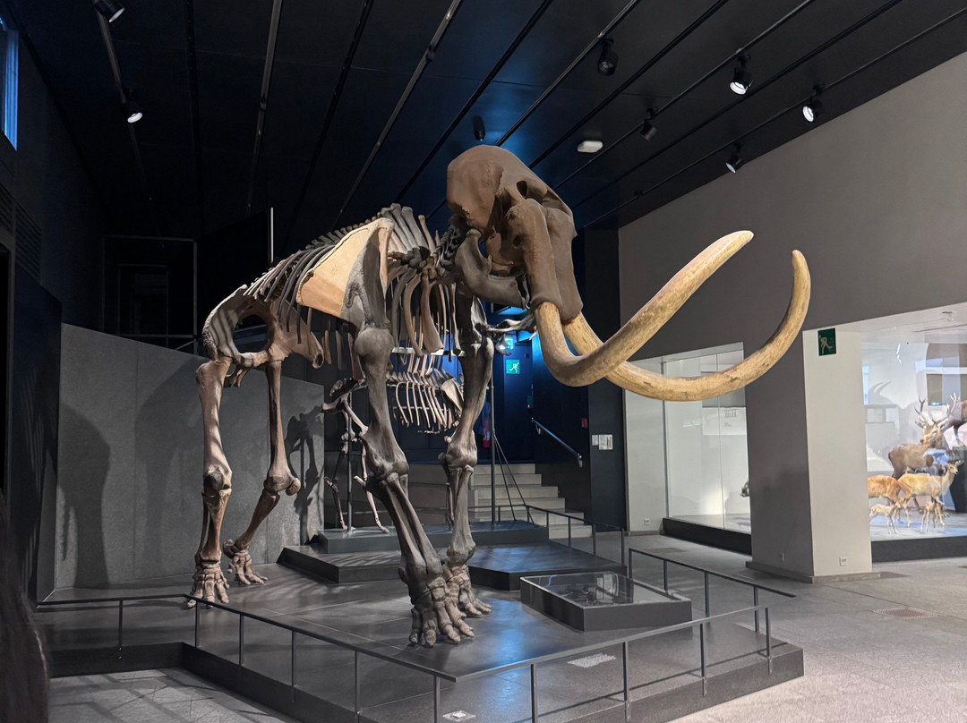 Zoologisches Museum der Universität Zürich-苏黎世必去景点