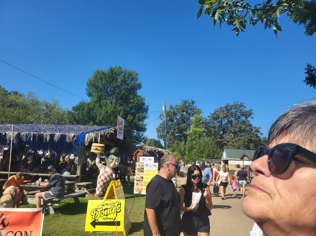 Shady Hollow Flea Market-Detroit Lakes必去景点