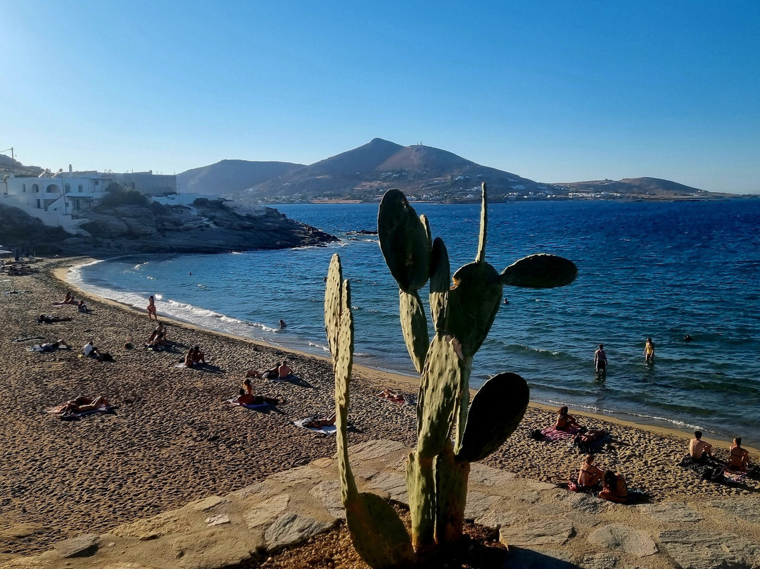 Piperi Beach-纳乌萨必去景点
