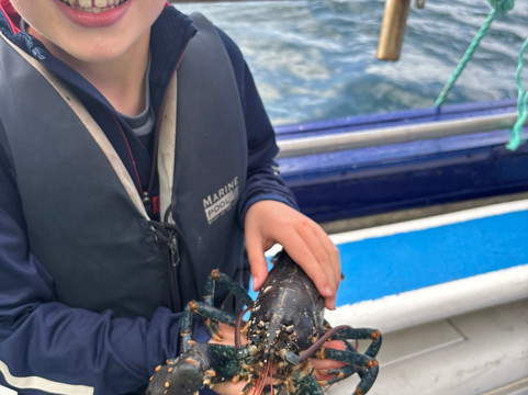 Bantry Bay Charters-Glengarriff必去景点