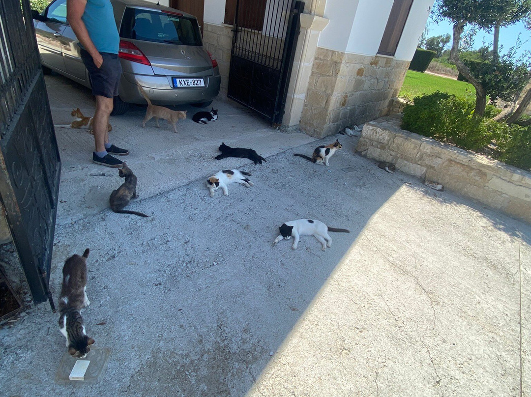 St. Nicholas of the Cats-Akrotiri必去景点