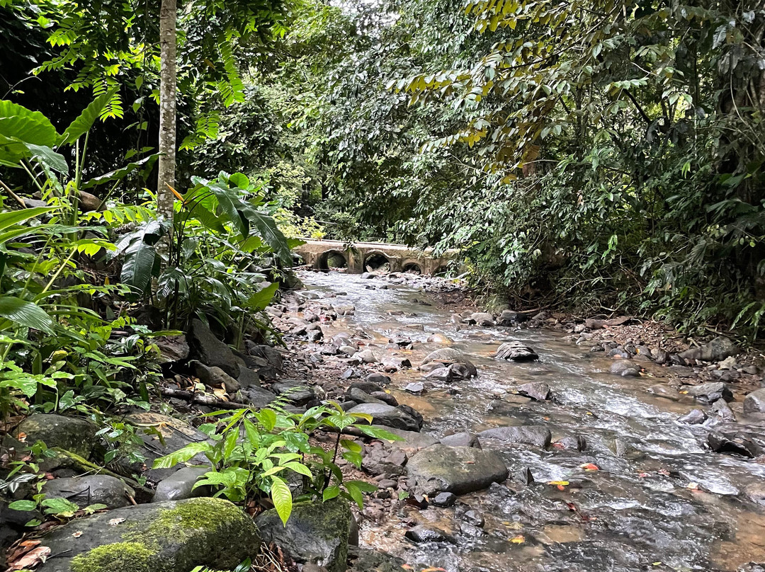 Vayu Retreat Villas主图