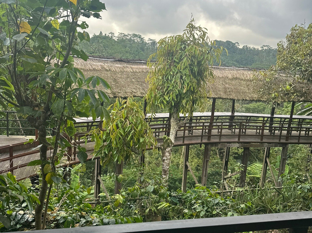 OKA Agriculture Bali-Bangli必去景点