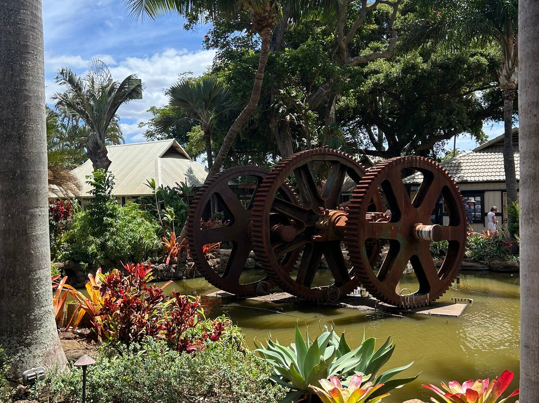 茂宜热带平原-怀露库必去景点